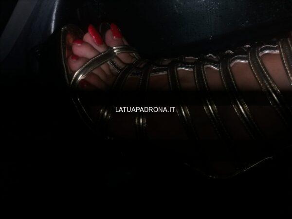 ladymandraka